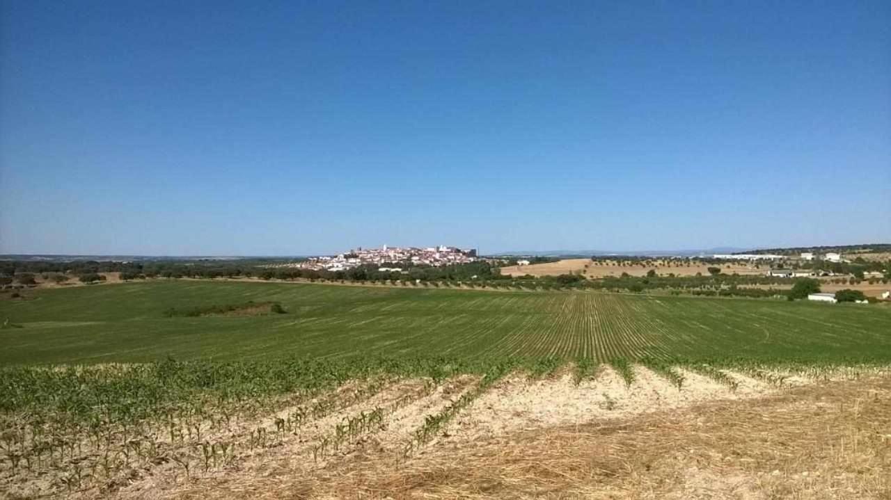 Herdade Da Fonte Ferreira Avis Exterior foto